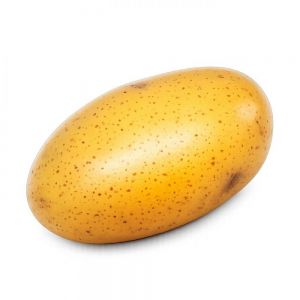 SQUISHY POTATO